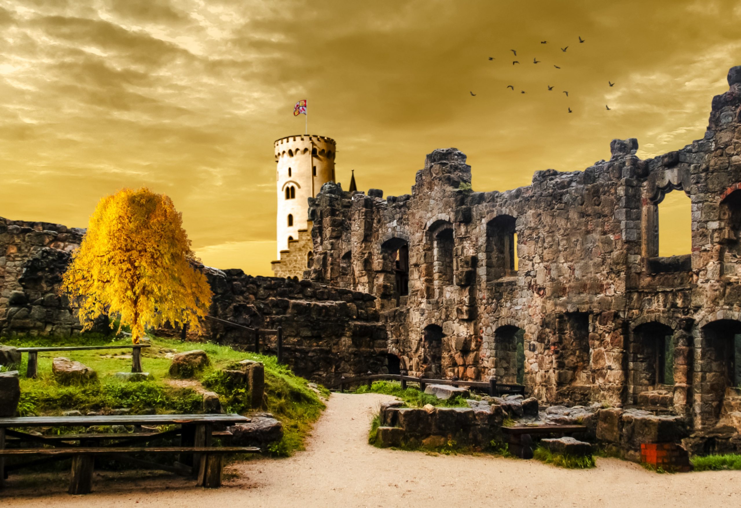 Rewriting History:  Challenging The "Beasts Of Burden" Narrative - 3x71ywa